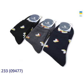 Оптом чоловічі шкарпетки чоловік botf-03н 09477